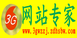 网站专家
